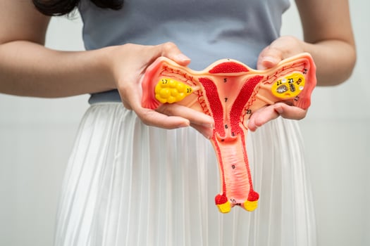 Uterus, Asian woman anatomy photo
