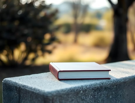 A book sits on a concrete ledge in front of a park photo