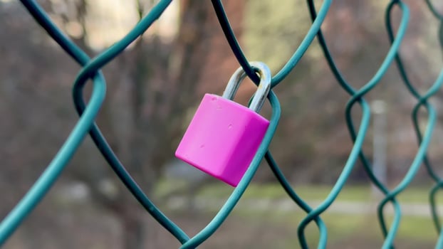 A Vibrant Pink Padlock Situated on a Bright Green Fence Creating a Unique Visual Impact photo