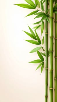 Bamboo Stalks with Green Leaves on Cream Background a Natural Organic Texture photo