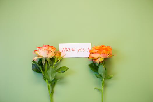 Bright rosebud with delicate petals on pastel green background photo