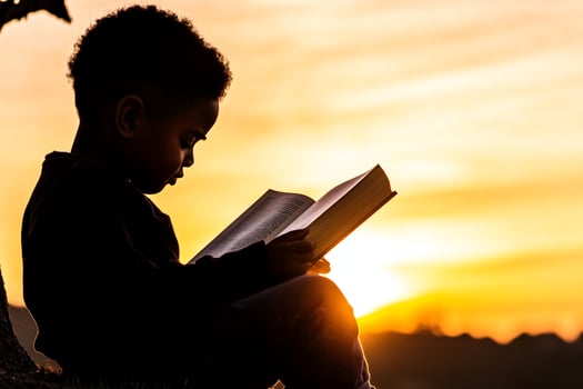A young boy sitting under a tree reading a book photo
