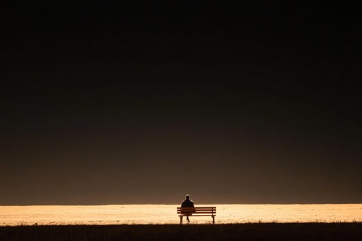 A lone person sits on a bench in the middle of a field photo