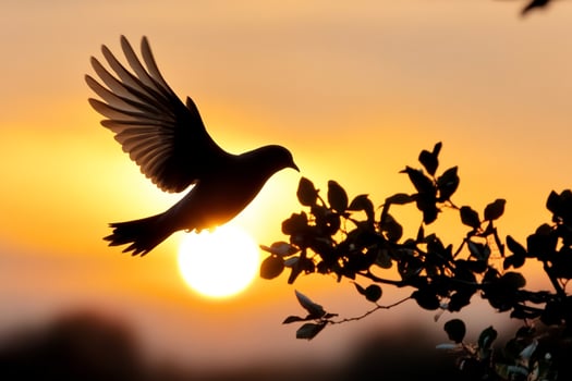 A bird flying over a tree with the sun in the background photo