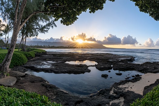 A view of the ocean and the sun setting over the water photo