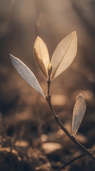 Delicate Leaves Bathed in Warm Sunlight, Revealing Intricate Veins. photo