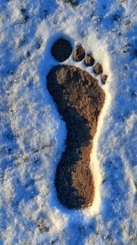 A Single Footprint Left Behind in the Fresh Winter Snow. photo