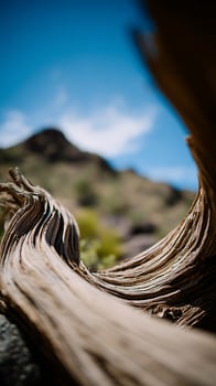 Desert Dry Wood Texture Against Blue Sky with Blurred Mountain Backdrop. photo