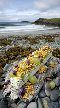 Festive Fruit and Cheese Log Presented on a Driftwood Plank by the Sea. photo