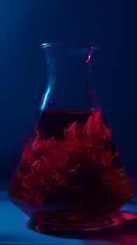 A glass vase filled with red liquid photo