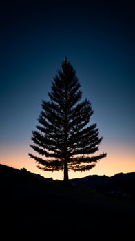Lone Lit Christmas Tree Silhouetted Against a Vibrant Sunset Sky. photo