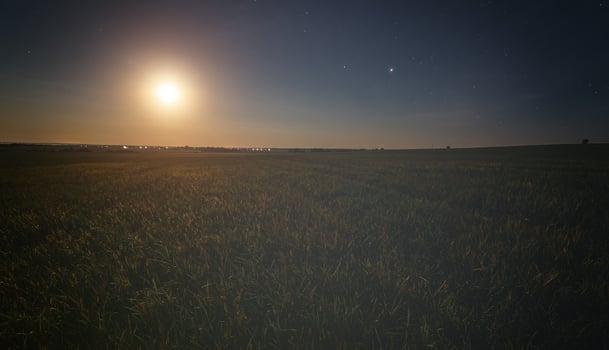 Rural landscape with a wheat field under moonlight, scenic sunset creating a breathtaking view for travel blogs, inspirational posters, and calm nature backgrounds. Vintage film aesthetic. photo