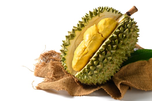 Fresh Durian Fruit or Durio zibethinus Opened on White Background .Exotic Tropical Thai King of Fruits.. photo