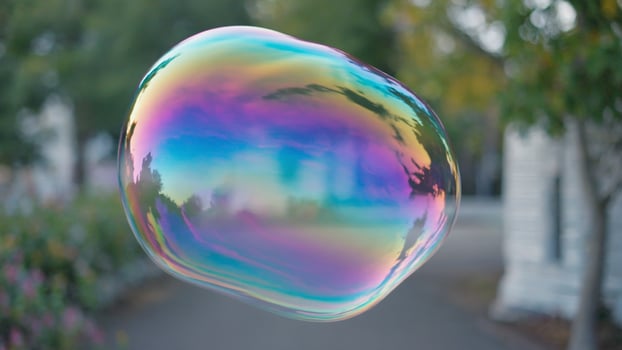 Iridescent Bubble Floating in Outdoor Park with Trees photo
