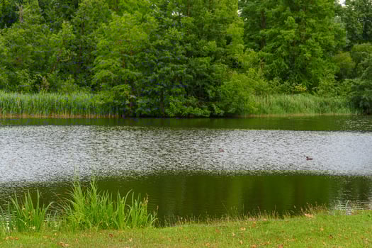 A man standing on a bench near a pond photo