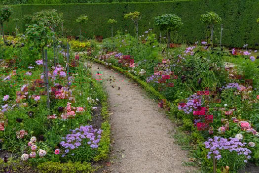 A path in a garden in potsdam photo