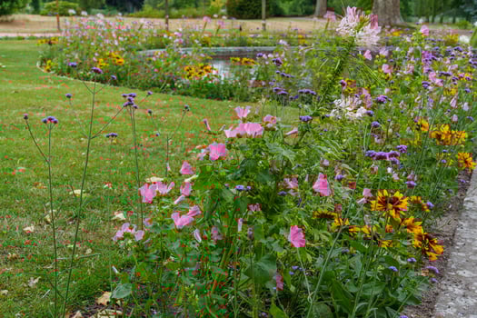 A bench in a park with a flower garden in the background photo