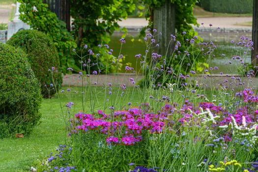 A garden with flowers and a fountain photo