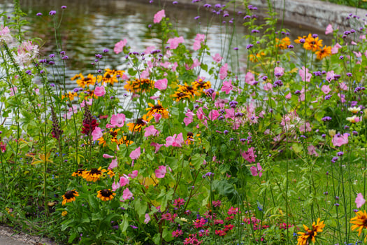 A flower garden with many different types of flowers in potsdam photo
