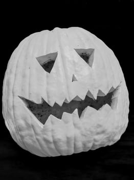 Rustic Pumpkin Black and White photo