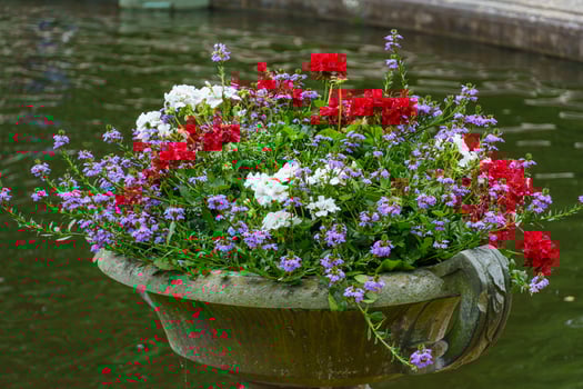 A vase of flowers photo