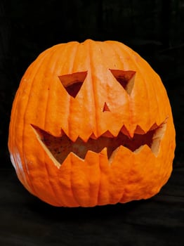 Seasonal Pumpkin Decoration photo