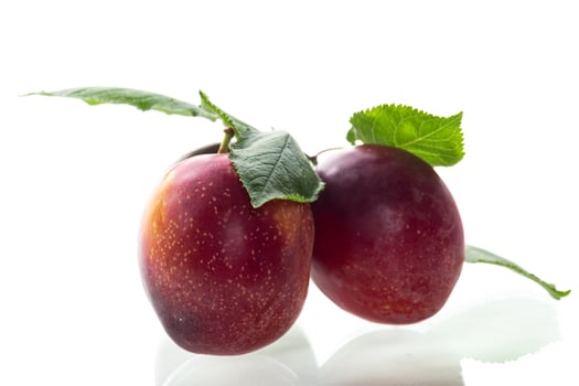 Three juicy plums with a blush close-up on a white background photo