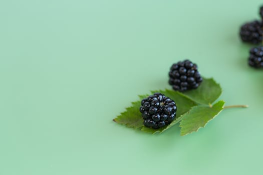 Fresh blackberries with reflection, top view. photo