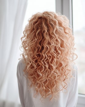 Luxurious back view of long curly ombre hairstyle with soft transition from rose gold roots to champagne blonde and white tips photo