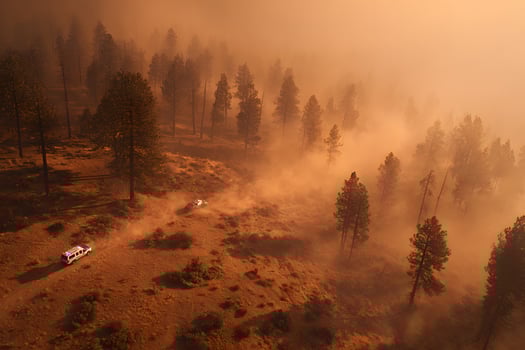 Aerial View of Wildfire Spreading Through Dry Forest - Environmental Crisis photo