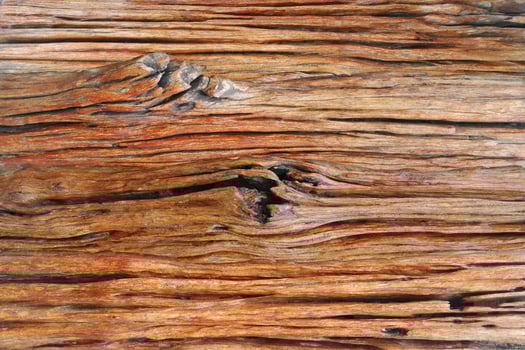 abstract wood with pattern colorful texture for background. photo
