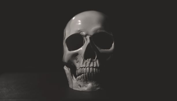 Realistic human skull model against a black background. Human skull isolated in black photo