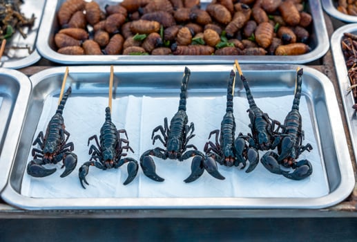 Street food, Fried scorpions with skewers ready to eat. photo