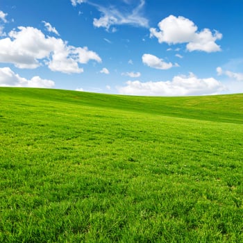 Endless Green Meadow Meeting Clear Blue Sky at Horizon Minimal Nature Landscape Background with No Trees or Buildings photo