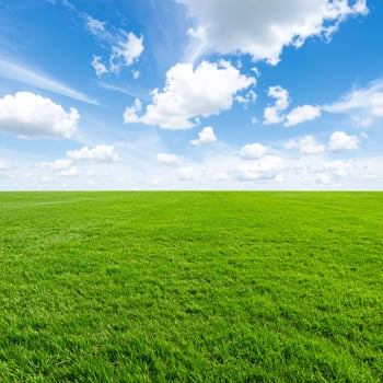 Wide Green Grass Field Under Bright Blue Sky with Soft White Clouds Natural Lighting for Outdoor Landscape Photography photo