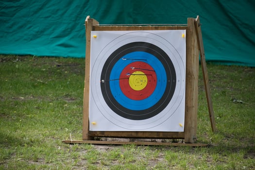 Archery Target With Arrows Placed Outdoors on a Grassy Field photo