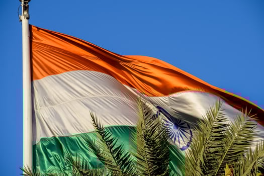 Indian flag, palm tree, blue sky, india, india flag, india photo