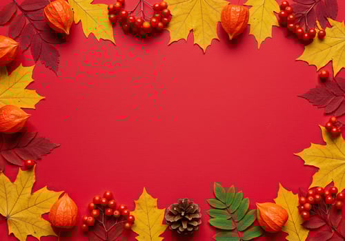Autumn leaves, berries, and physalis arranged in a border on red photo