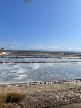 Flat Horizon of Salt Pans - Industrial Scale Extraction and Mineral Gathering. photo