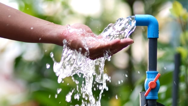 A person is holding a hose with water coming out of it photo