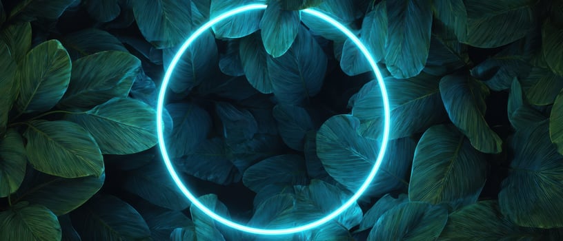 The glowing neon circle surrounded by fresh tropical leaves and foliage. photo