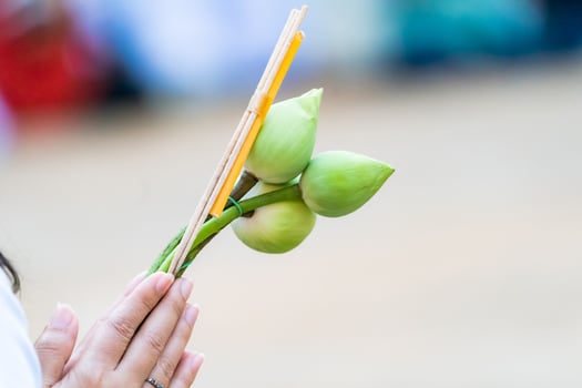 A peaceful gesture shows hands presenting lotus blooms and incense sticks, embodying spiritual reverence at a temple. a photo