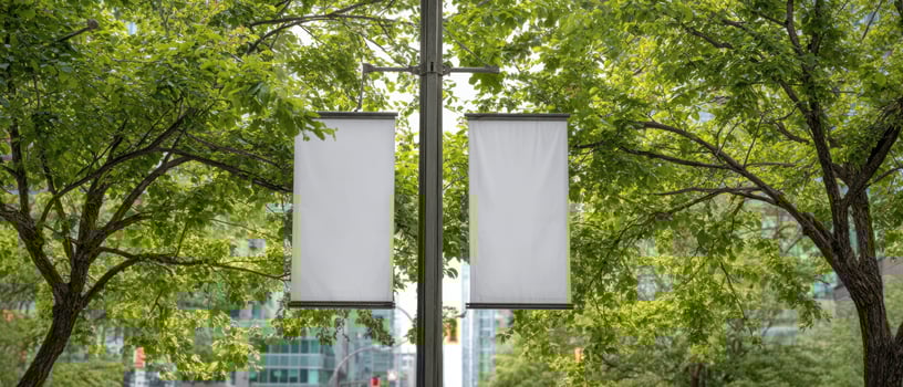 The empty signage space amidst lush green city trees. photo