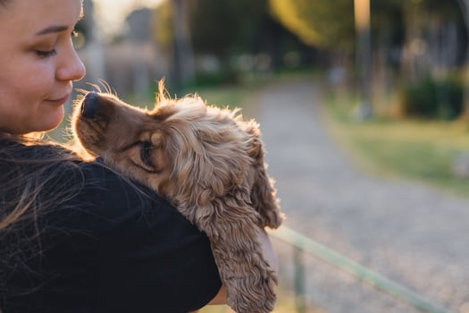 A young woman with long brown hair holds a light brown cocker spaniel in her arms. They share a tender moment in a park with a gravel path and greenery in the background. photo