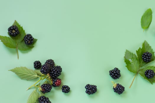 Blackberries on a white background with a slight reflection photo