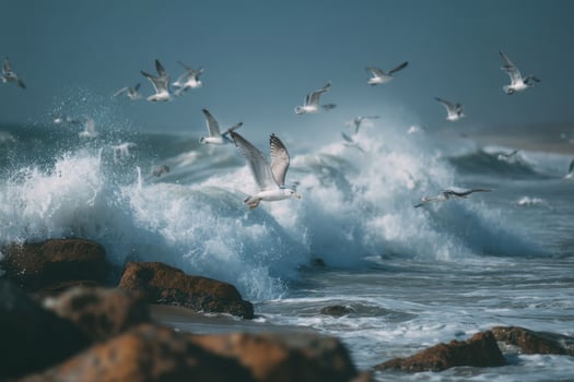 Seagulls flying over the ocean waves photo