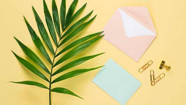 Minimalist workspace aesthetic with palm leaf stationery and pastel colors for creative professionals and modern business branding photo