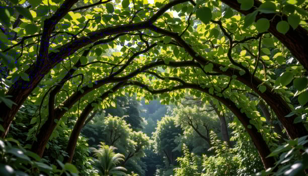 a canopy of vines creating a green ceiling over a forest glade. photo