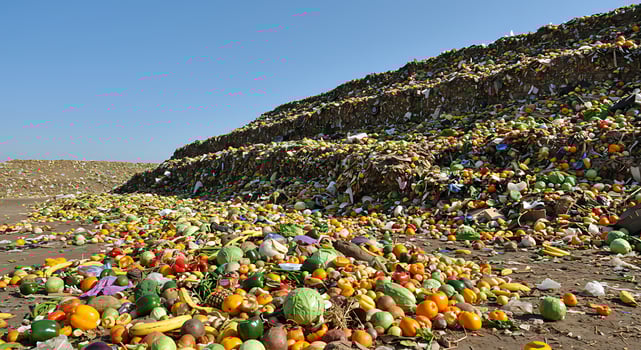 A pile of fruit photo