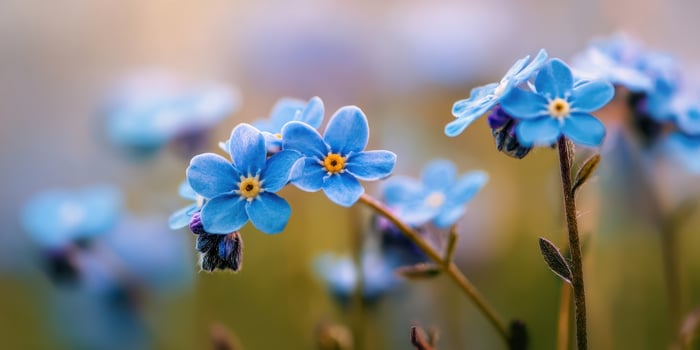 The delicate blue flowers blooming in a serene natural setting. photo
